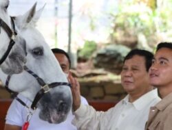 Prabowo Dinilai Visioner dalam Mencari Calon Wakil Presiden Muda, untuk Mewujudkan Indonesia Emas