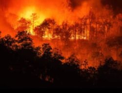 Api di Blok Tegal Alun Gunung Papandayan Garut semakin membesar