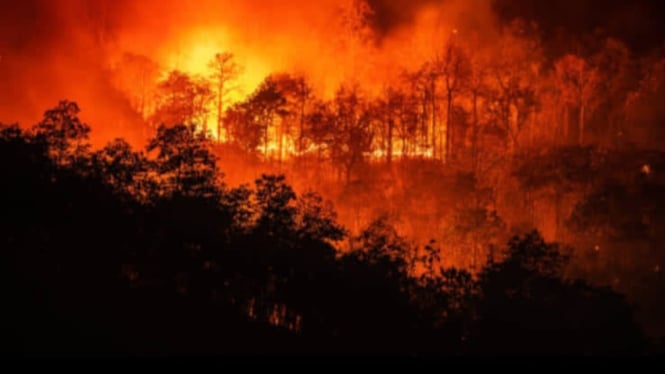 Api di Blok Tegal Alun Gunung Papandayan Garut semakin membesar