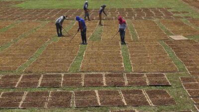 Gaprindo Mengkritik RPP Kesehatan yang Tidak Mendukung Industri Tembakau