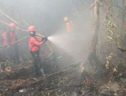 Provinsi Sumatera Selatan berhasil mengurangi jumlah titik panas Karhutla, menurut BMKG langkah mitigasi pencegahan berjalan lancar