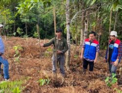 Pertamina Menyediakan Program Konservasi Desa Kokolomboi untuk Mempertahankan Kelestarian Hutan