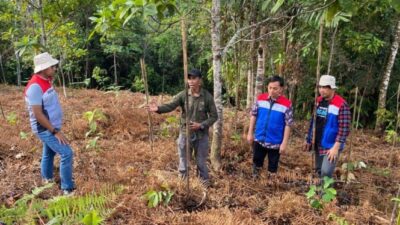 Pertamina Menyediakan Program Konservasi Desa Kokolomboi untuk Mempertahankan Kelestarian Hutan