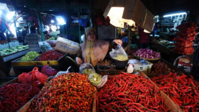 Kenaikan Harga Bawang Putih dan Cabai