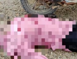 Polisi Selidiki Kasus Kematian IRT di Kalbar yang Tewas Bersimbah Darah dan Terkena Tembakan