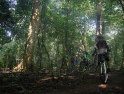 Konsep Agroforestri: Manfaat Program Kemenhut