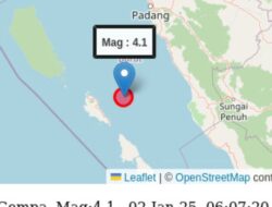 “Peristiwa Gempa Bumi Magnitudo 4,1: Awal Tahun 2025”