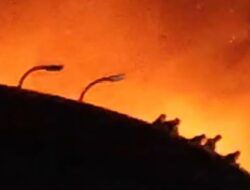 “Update: Korban Hilang Kebakaran Glodok Plaza, 11 Orang”