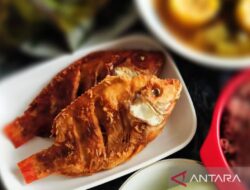 Optimalkan Kebutuhan Gizi Anak 7-12 tahun