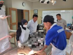 Penemuan Mayat Bayi Perempuan: Detail dan Reaksi Warga