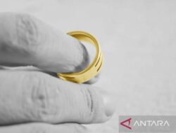 Perbedaan Cincin Tunangan vs Cincin Nikah: Perspekstif Berbeda