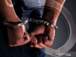 Pemrosesan Kriminal & Pembuangan Janin: Wawasan Terbaru