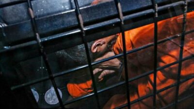 Ditangkap Polisi: Pelaku Eksibisionis Pelatih Tinju