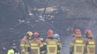 Tragedi Kebakaran Hutan Korea Selatan: 24 Orang Tewas, Ribuan Warga Mengungsi