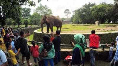 Jadwal Libur Lebaran Ragunan: Buka atau Tutup? Penjelasan Lengkap