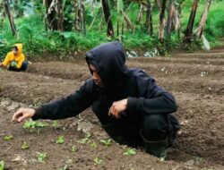 Arista Montana: Meningkatkan Keberlanjutan dengan Pertanian Organik dan Agroforestri