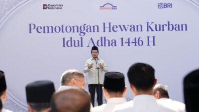 Idul Adha 1446 H: Bapekis dan Karyawan BRI Bagikan 961 Hewan Kurban