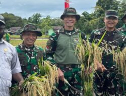 Prabowo Beri Target Tinggi, Pangkops Habema TNI Panen Berlipat