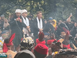 Bambu, Damar, dan Rasamala: Pohon Harapan Masa Depan