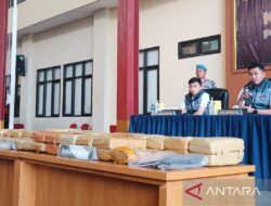 Polres Metro Jakpus Tangkap Pengedar Ganja 53 Kg