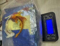 Pengedar Narkoba Ditangkap di Jakbar, 1 kg Sabu Disita