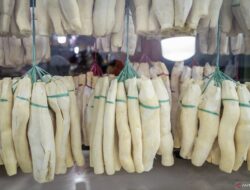 8 Manfaat Tape Singkong dan Efek Sampingnya