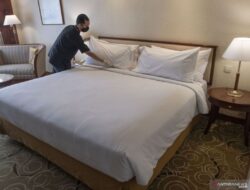 5 Tanda Kutu Kasur Sudah Menumpang di Tempat Tidur Anda